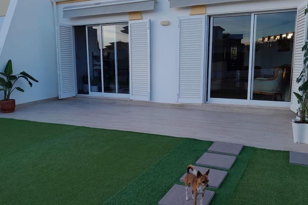 הוילה אלבופיירה Gale Premium House - Pet Friendly מראה חיצוני תמונה