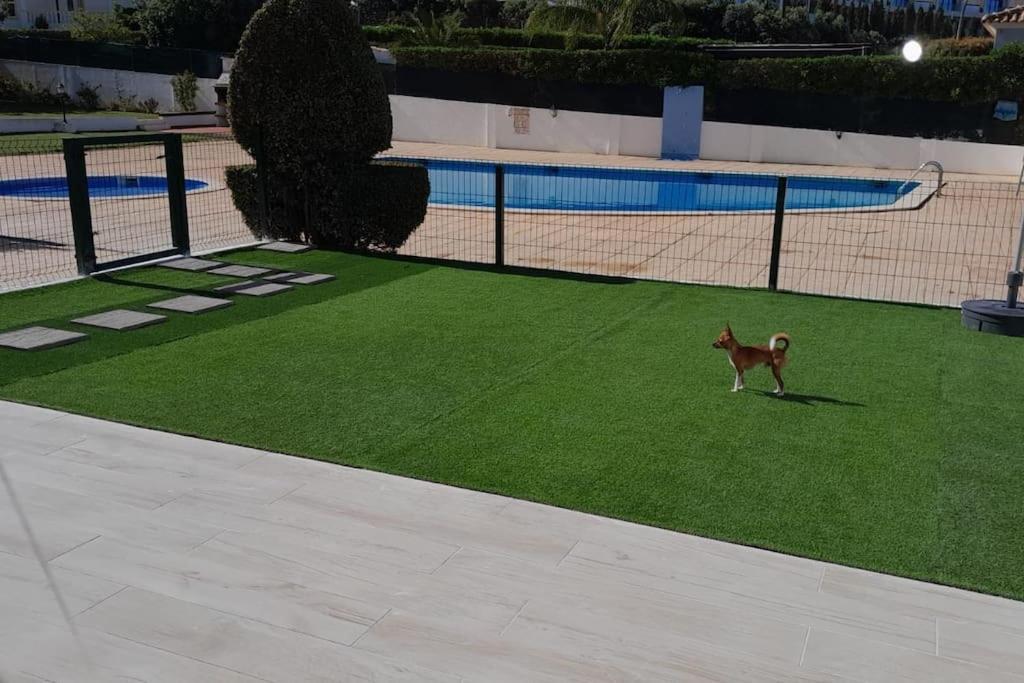 הוילה אלבופיירה Gale Premium House - Pet Friendly מראה חיצוני תמונה